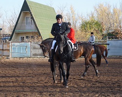 верховая езда